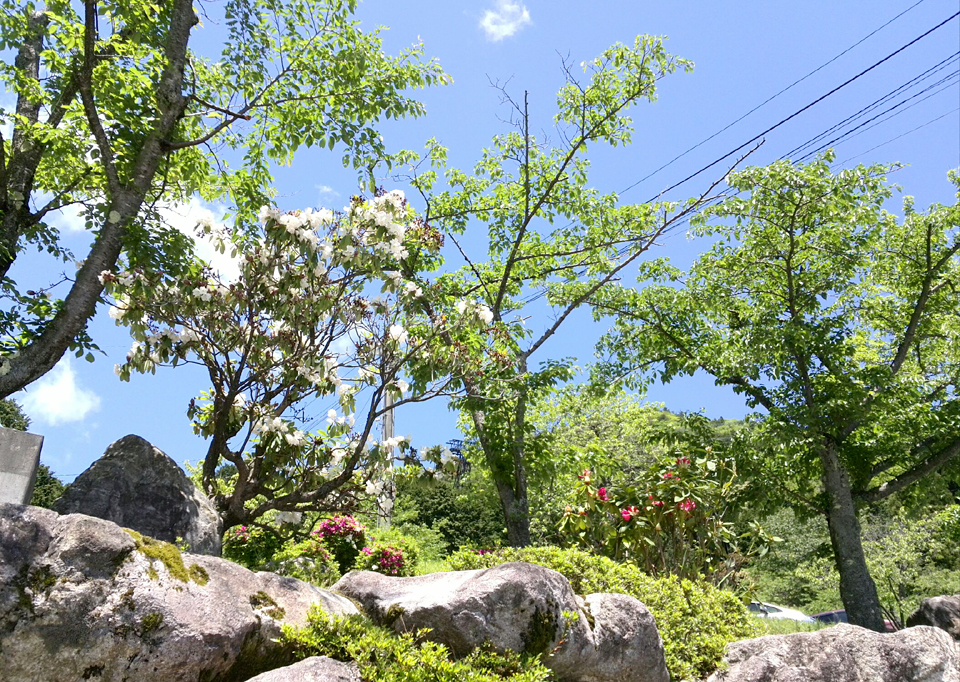 今日は快晴☆