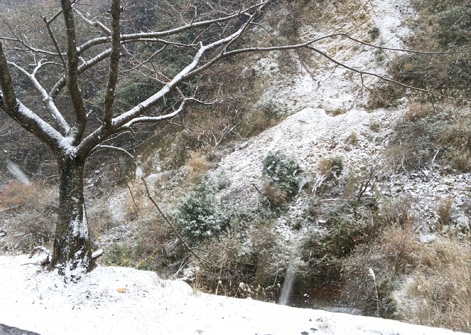 雪ですね……