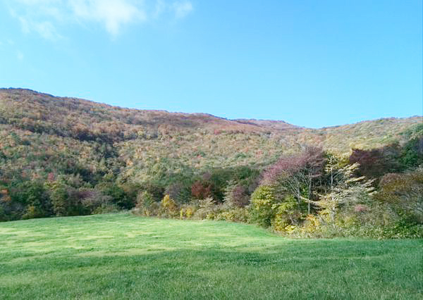 山、燃ゆる