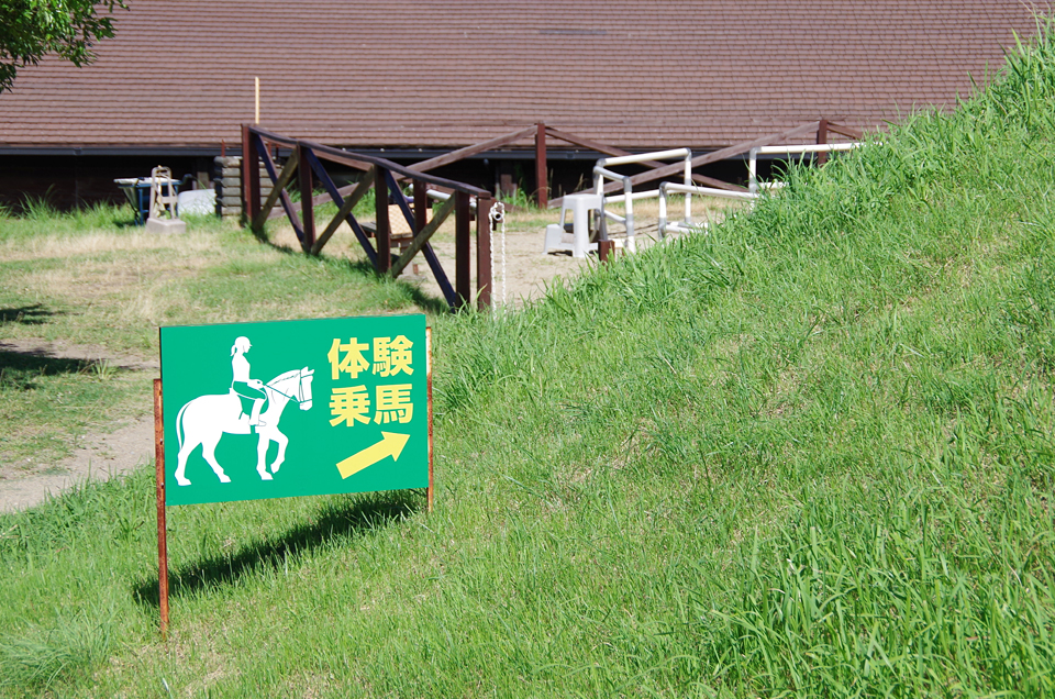 乗馬体験