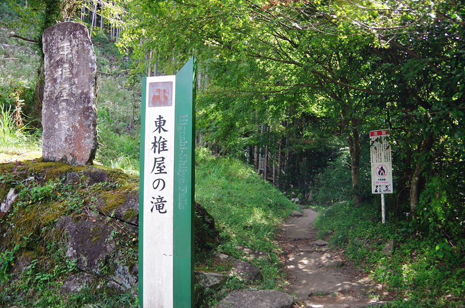 東椎屋の滝とイチイガシ