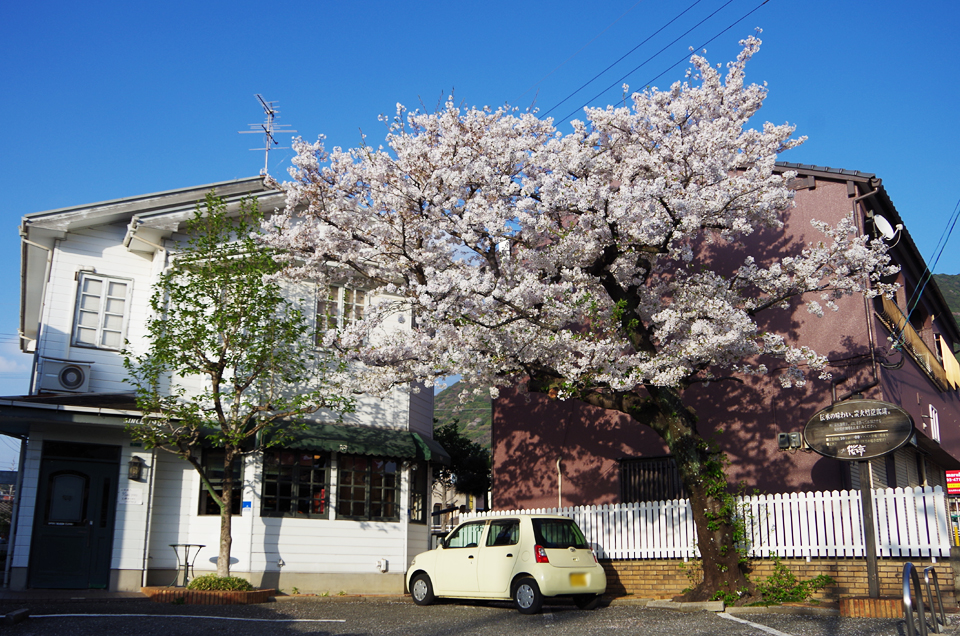 4/7（火）出店予定