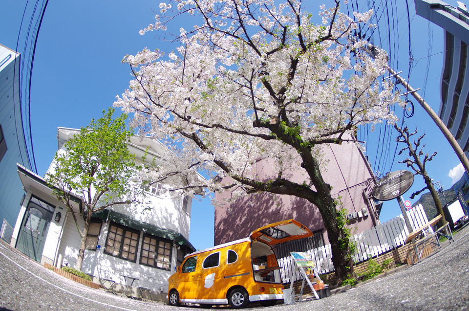 フリーカフェ at Cafe桜亭 – the 2nd 【＠福岡県】